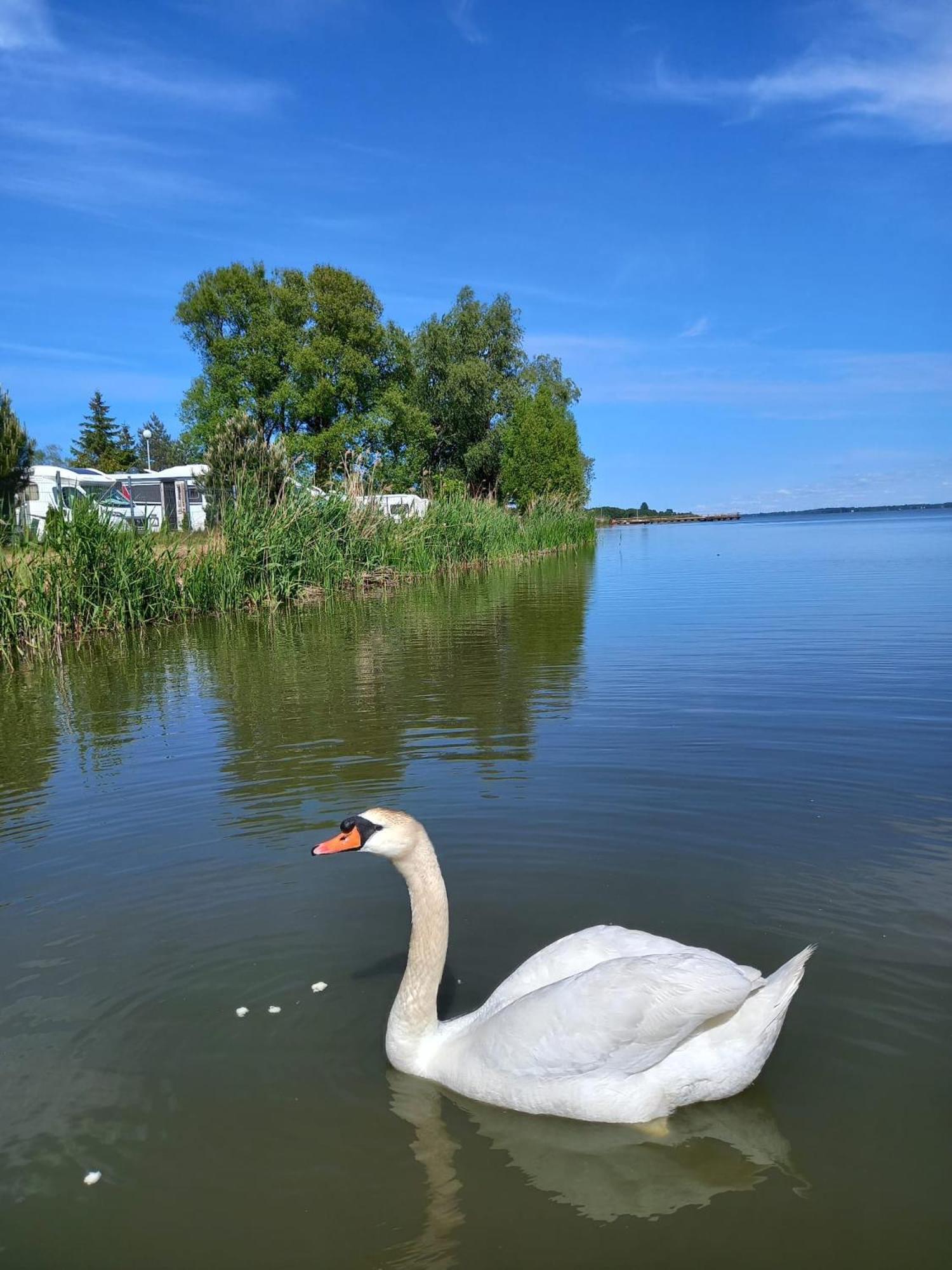 Houseboat Arka 1 - Domki Na Wodzie, Rower Wodny, Wifi, Parking Mielno  Extérieur photo